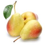 Pear Trees