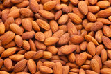 Nut Trees