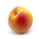 Apricot Trees