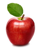 Apple Trees