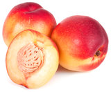 Peach Trees