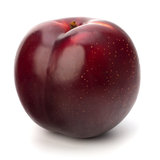 Plum Trees