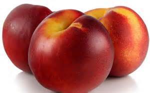 Karla Rose Nectarine Karla Rose Nectarine
