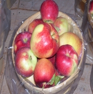 Mollies Delicious Apple