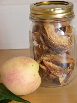 Belle of Georgia Peach