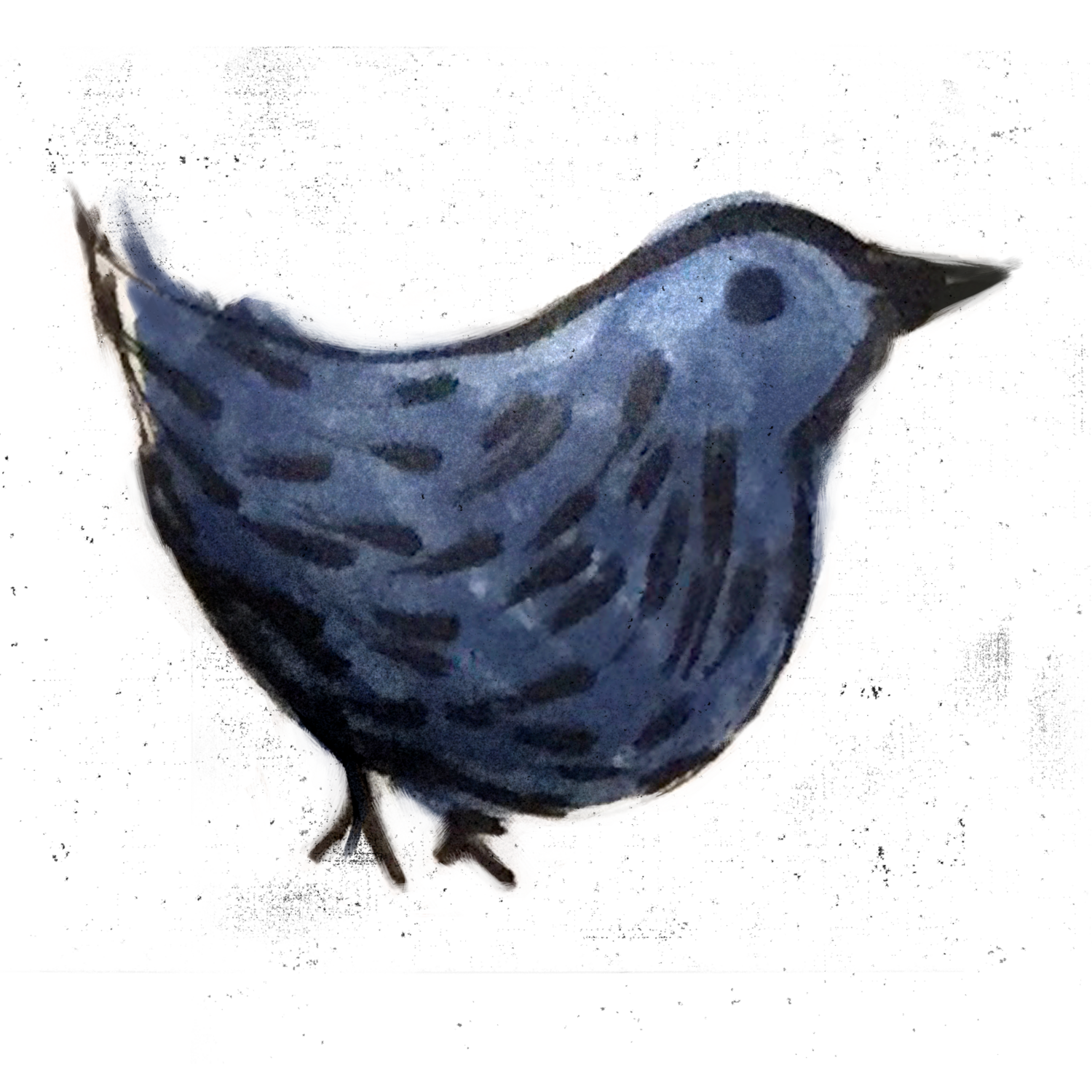 Pájaro azul II