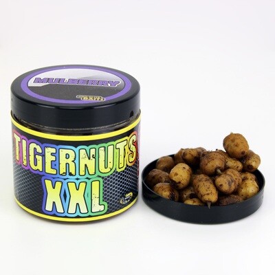 MULBERRY TIGERNUTS XXL