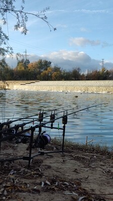 CARPFISHING