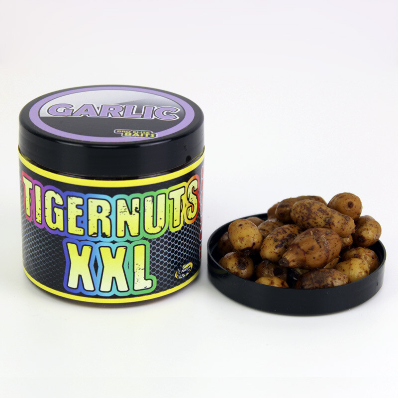 GARLIC TIGERNUTS XXL