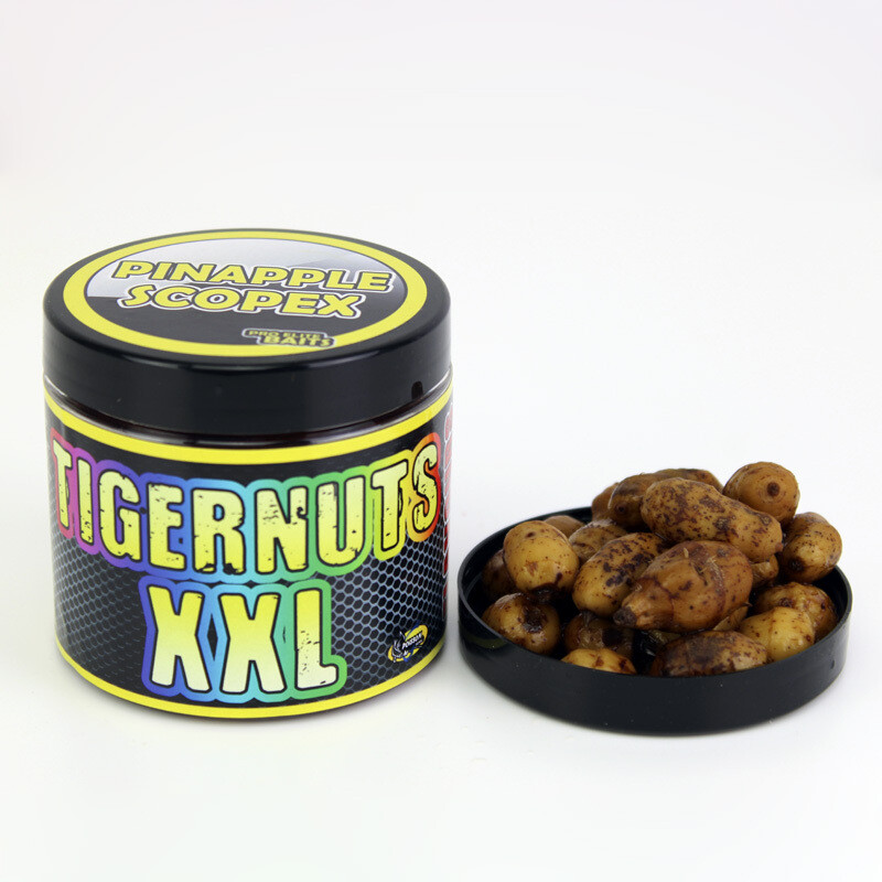 PIÑA &amp; SCOPEX TIGERNUTS XXL