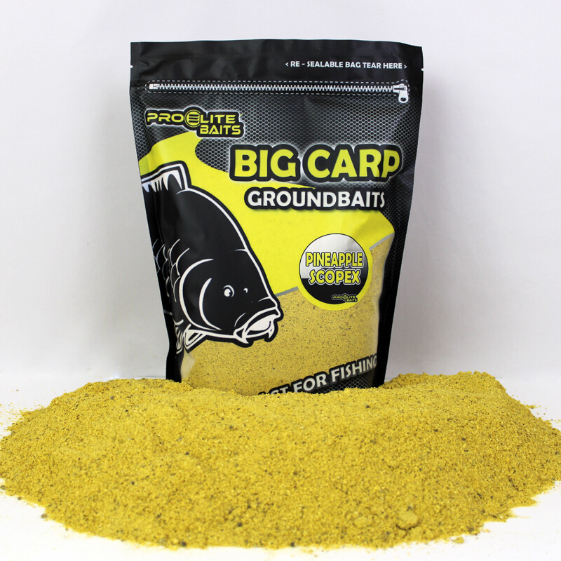 PIÑA &amp; SCOPEX BIG CARP