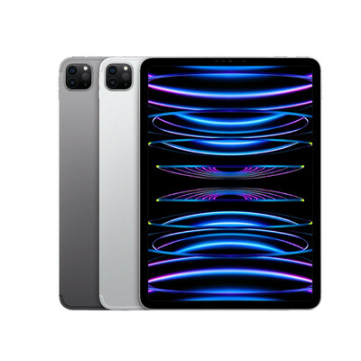 iPad