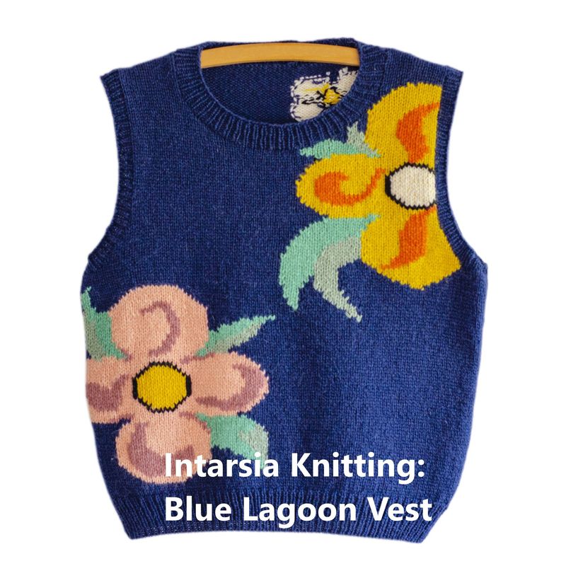 Workshop "Intarsia Knitting Blue Lagoon Vest" mit Dario Tubiana 28.11.25 15:00 - 18:00  inkl. Wollmarkt Eintritt Weekend