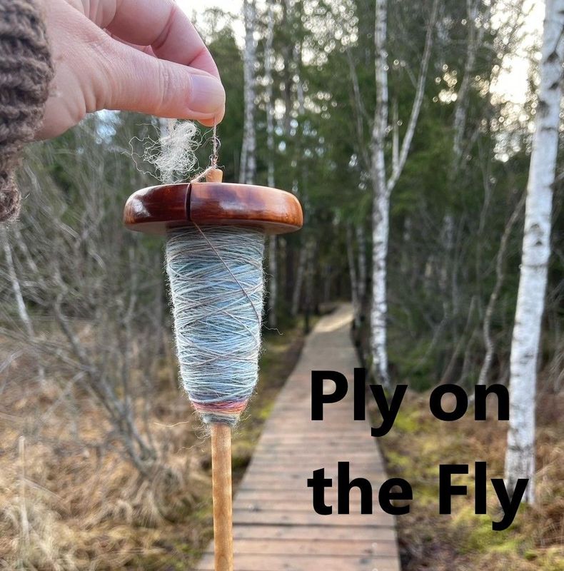 Workshop "Ply on the Fly" mit Theresia Lew 30.11.25 14:00 - 17:00  inkl. Wollmarkt Eintritt Weekend
