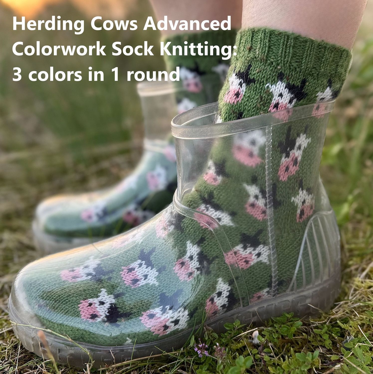 Workshop Workshop "Herding Cows Advanced Colorwork Sock Knitting: 3 colors in 1 round" mit Charlotte Stone 27.11.26 10:00 - 13:00 inkl. Wollmarkt Eintritt Weekend