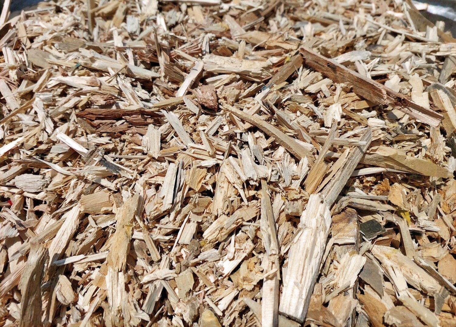 Wood Chips (sold per m³)