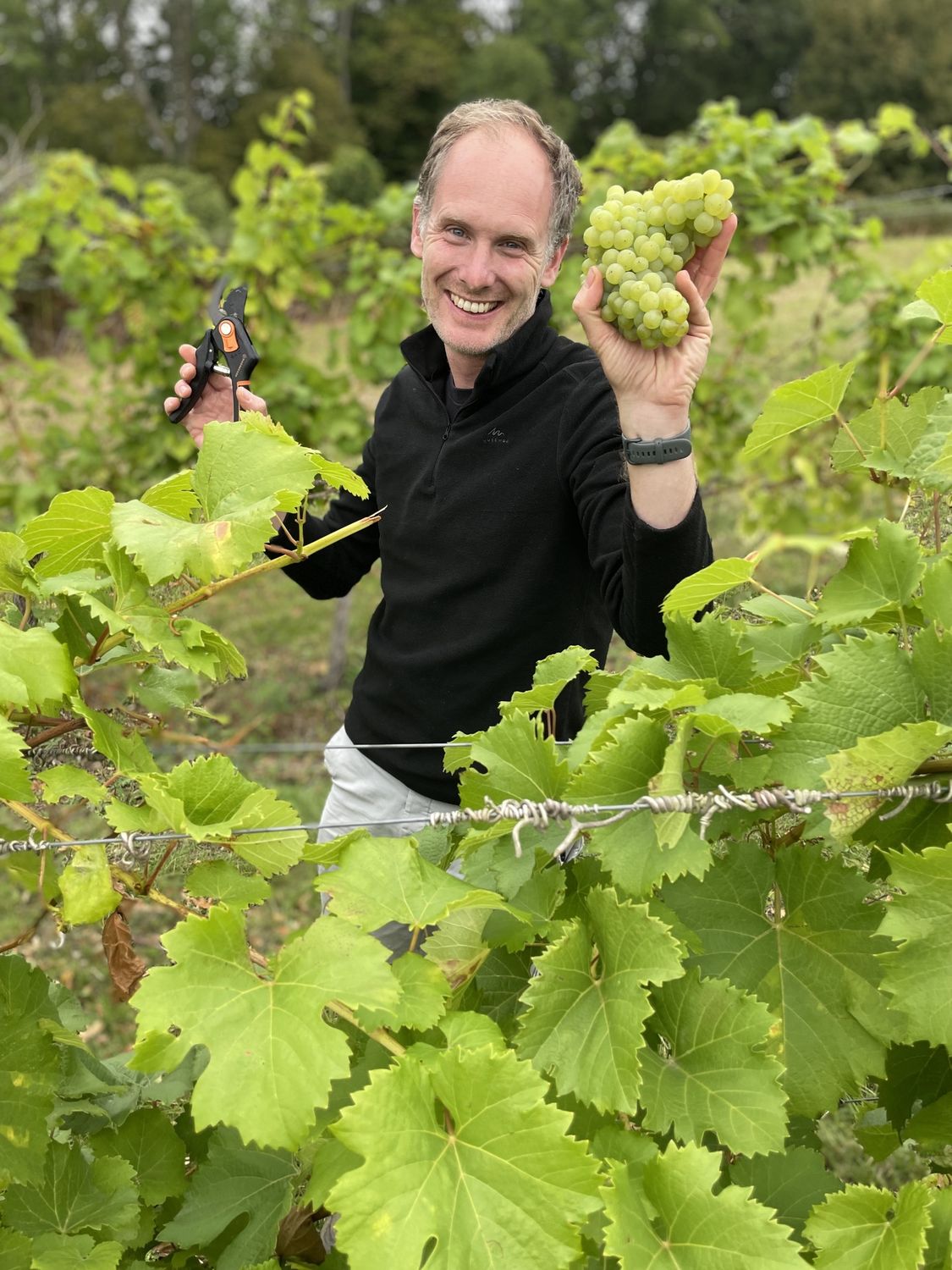 English Wine Week Tasting - Wednesday 24th June