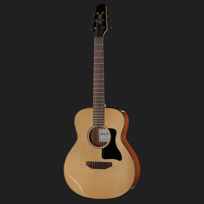 Harley Benton GS-Travel Spruce