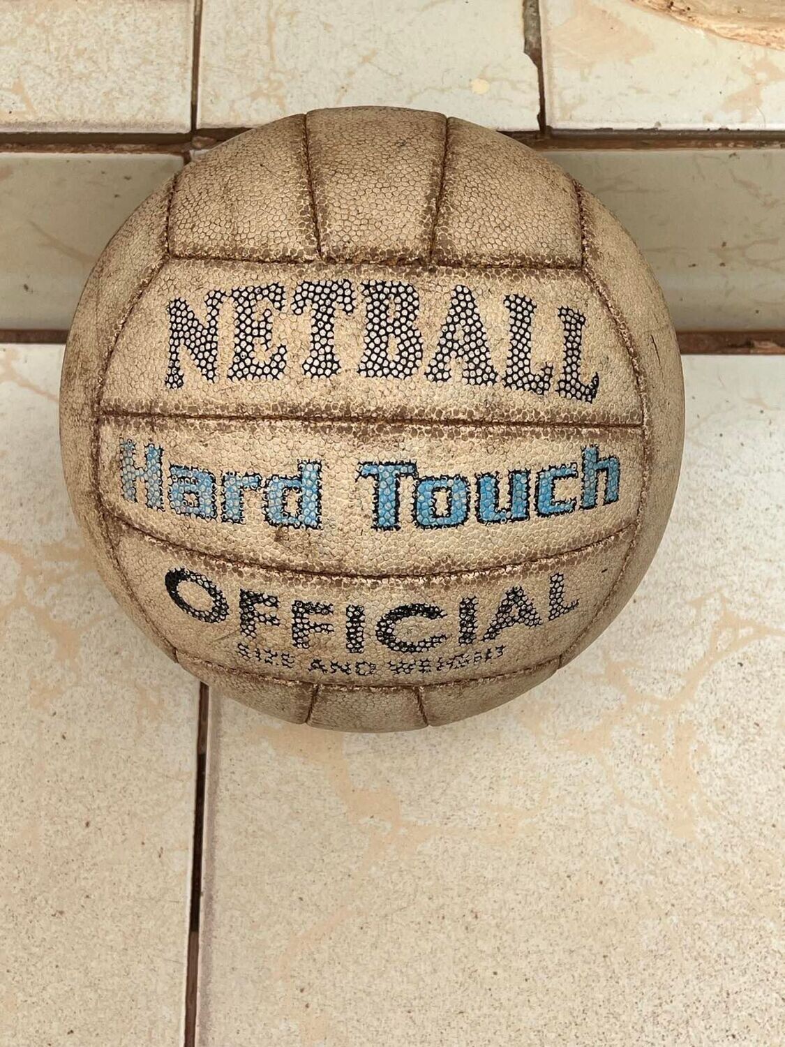 Net Ball