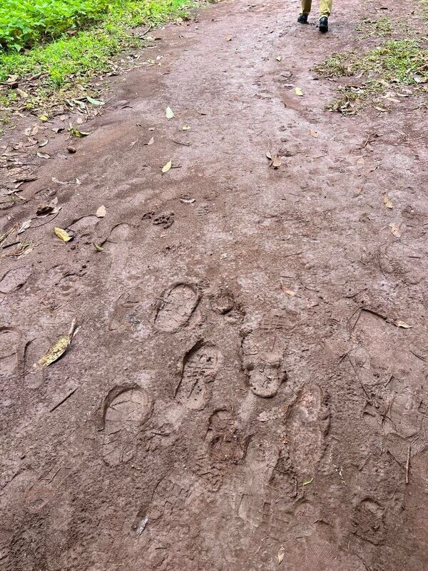 Road
