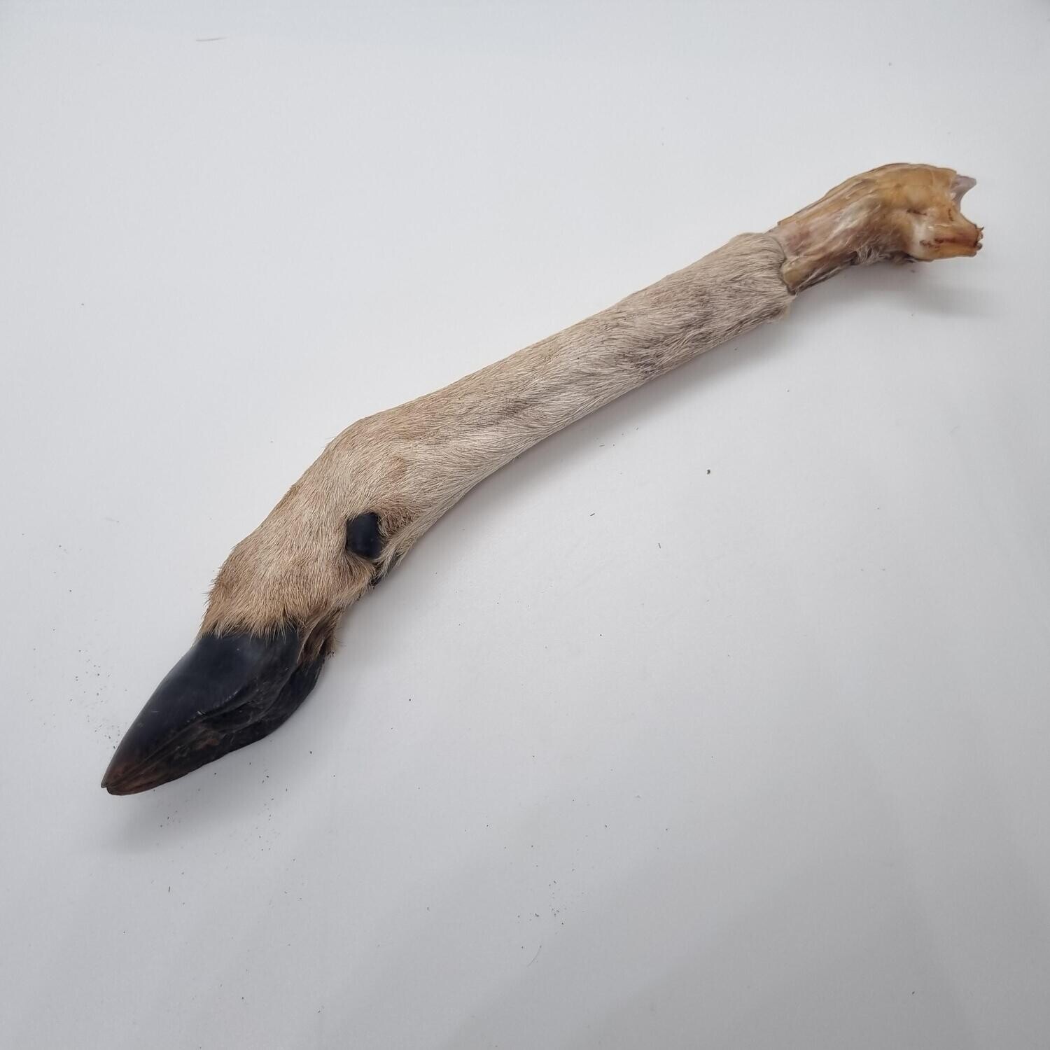 Deer trotter - (Small)