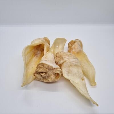 Lambs ears