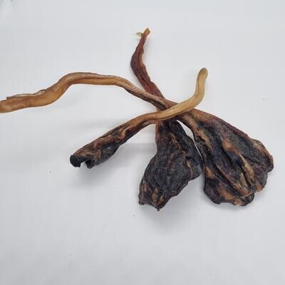 Kangaroo tendons