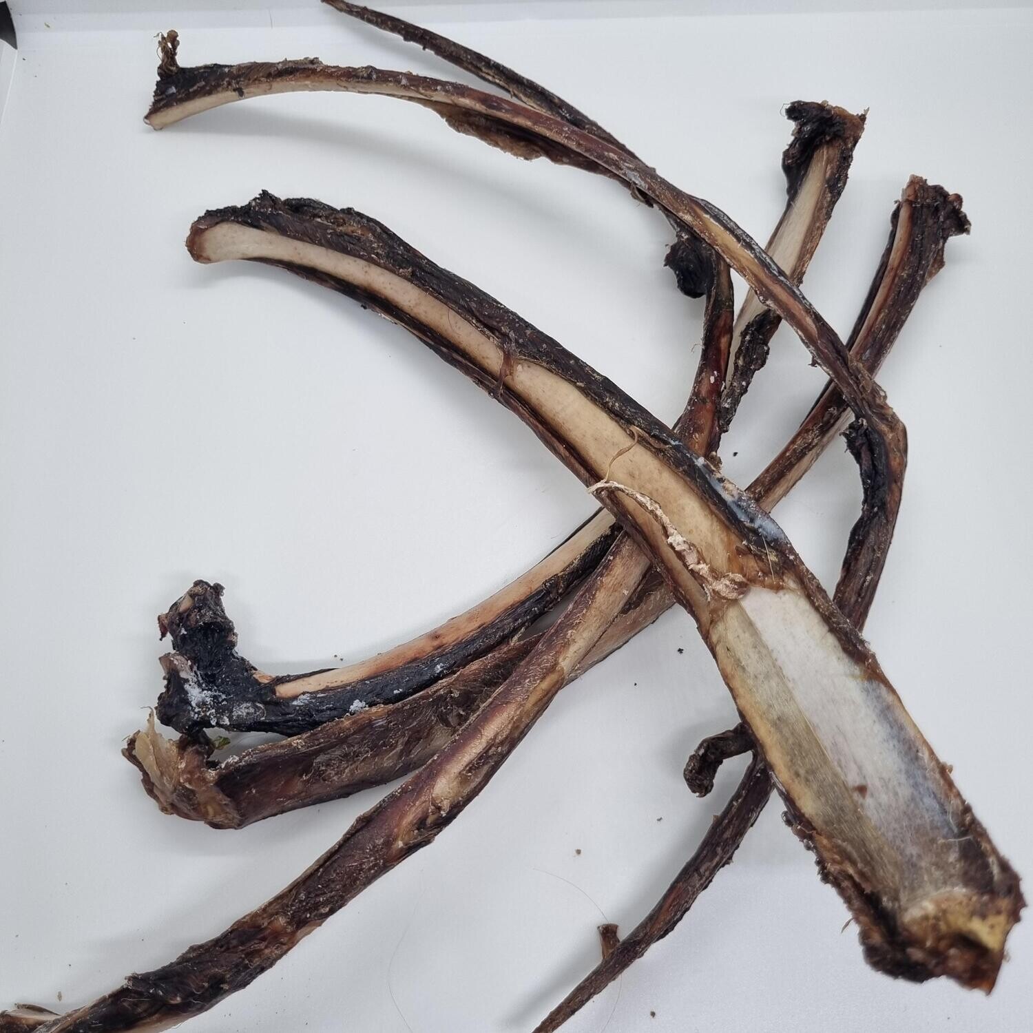 Venison ribs