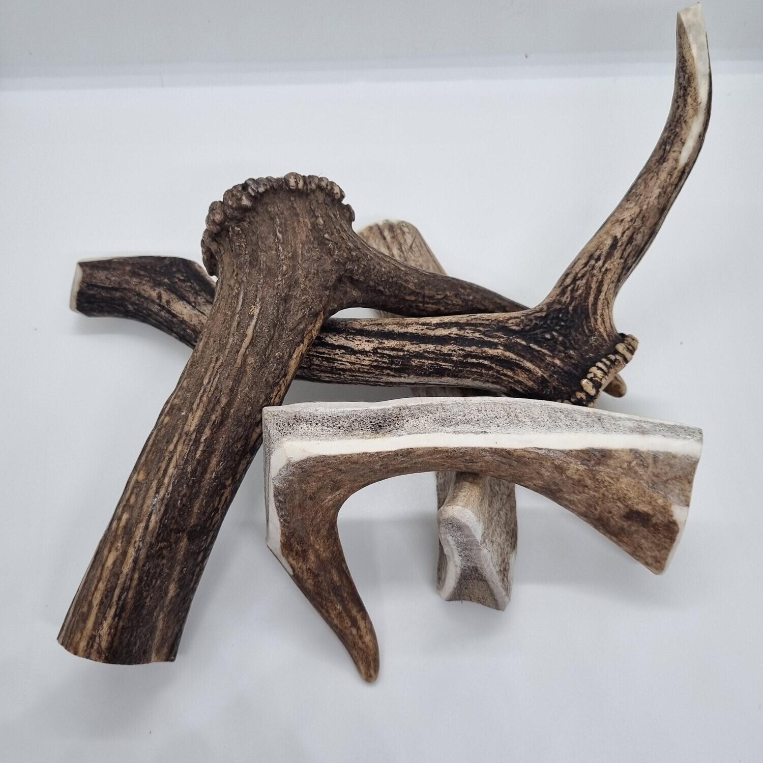 Deer antler: Long lasting chew