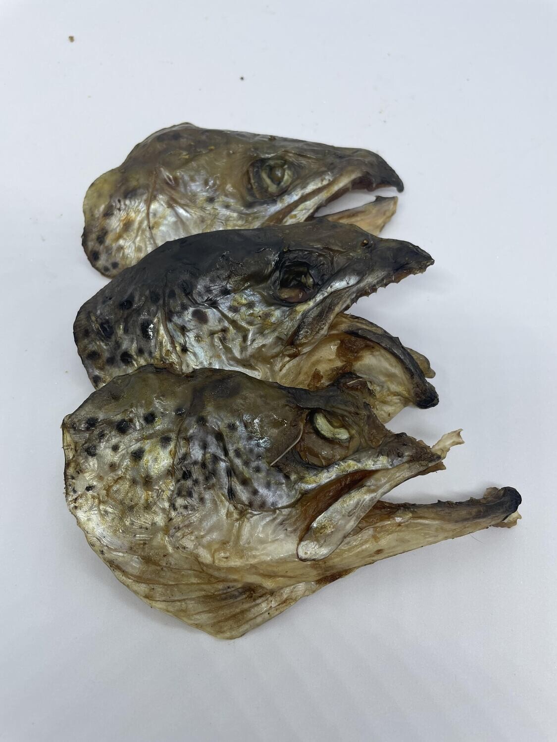 Tasmanian Salmon Heads