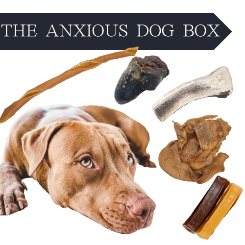 The Anxious Dog Box