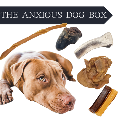 The Anxious Dog Box