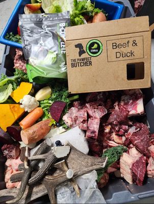 Beef and Duck