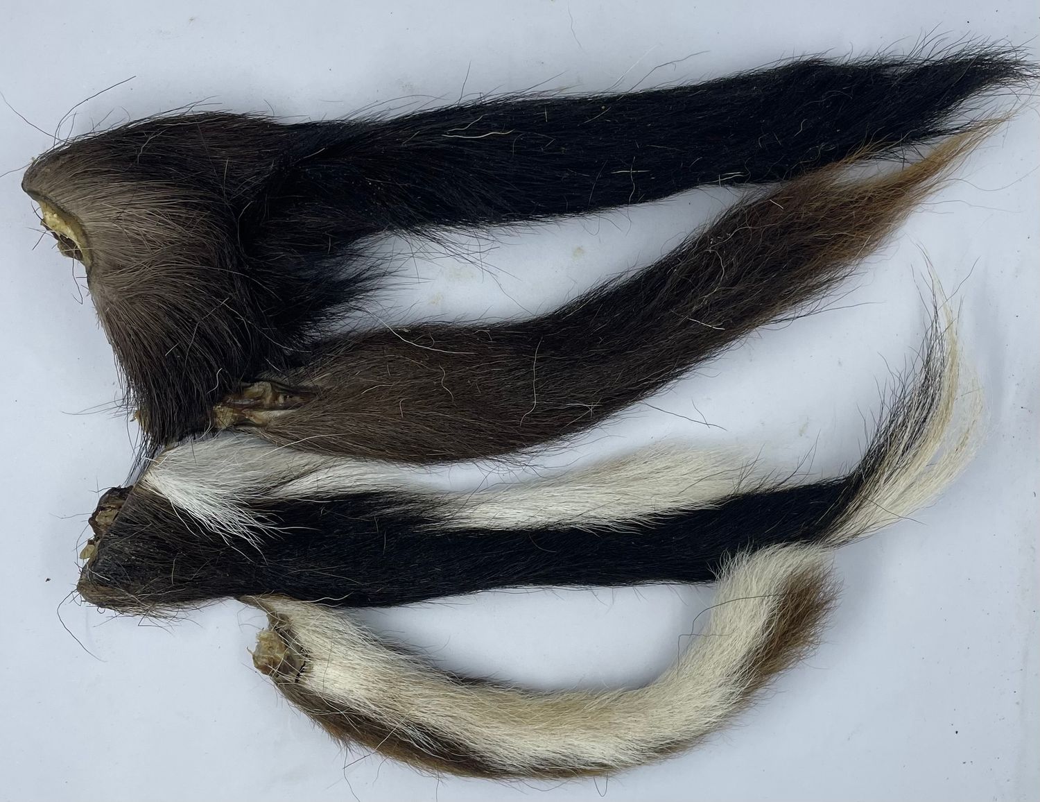 Furry Deer Tails