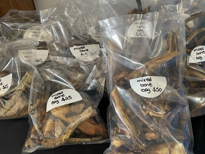 Mixed Bag Dehydrated Bones