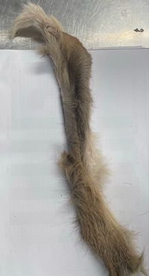 Deer Skin Twists (large)
