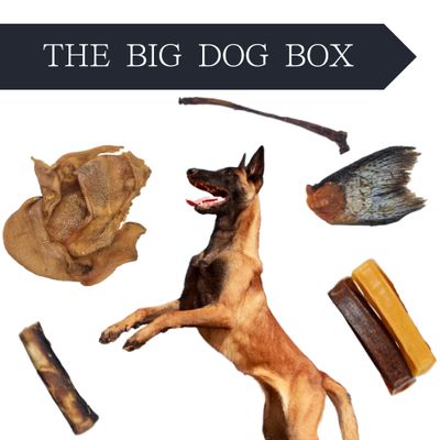 The Big Dog Box