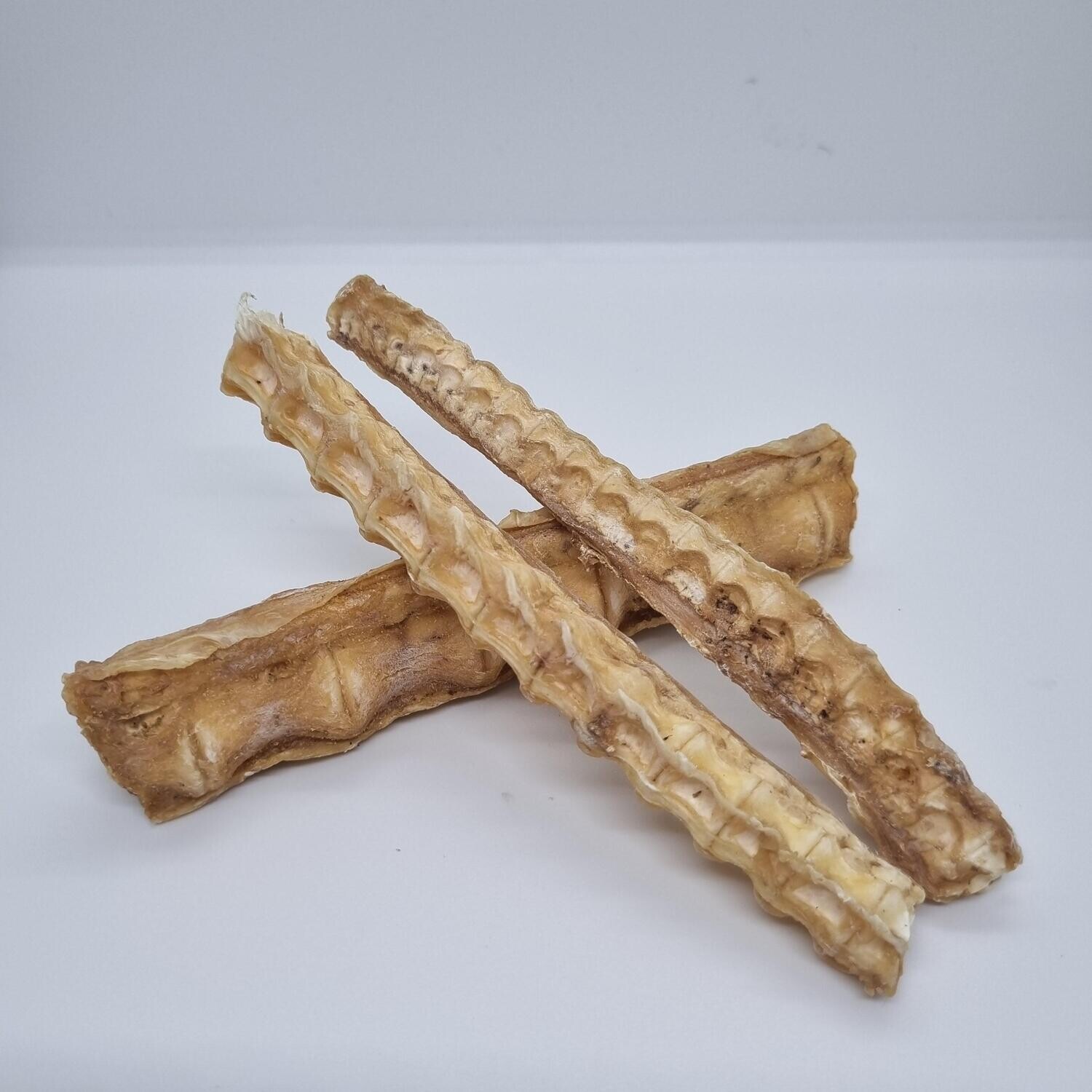 Large Shark Cartilage (each)