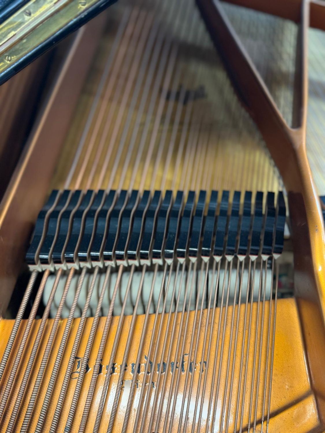 Bösendorfer Concert Vleugel