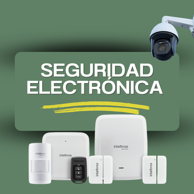 Seguridad electrónica