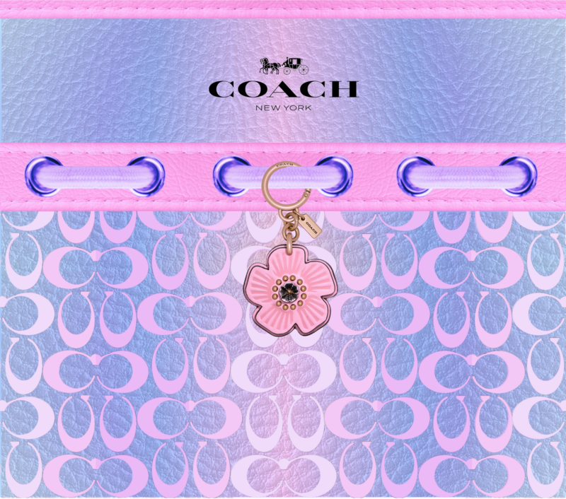 PINK/PURPLE COACH
