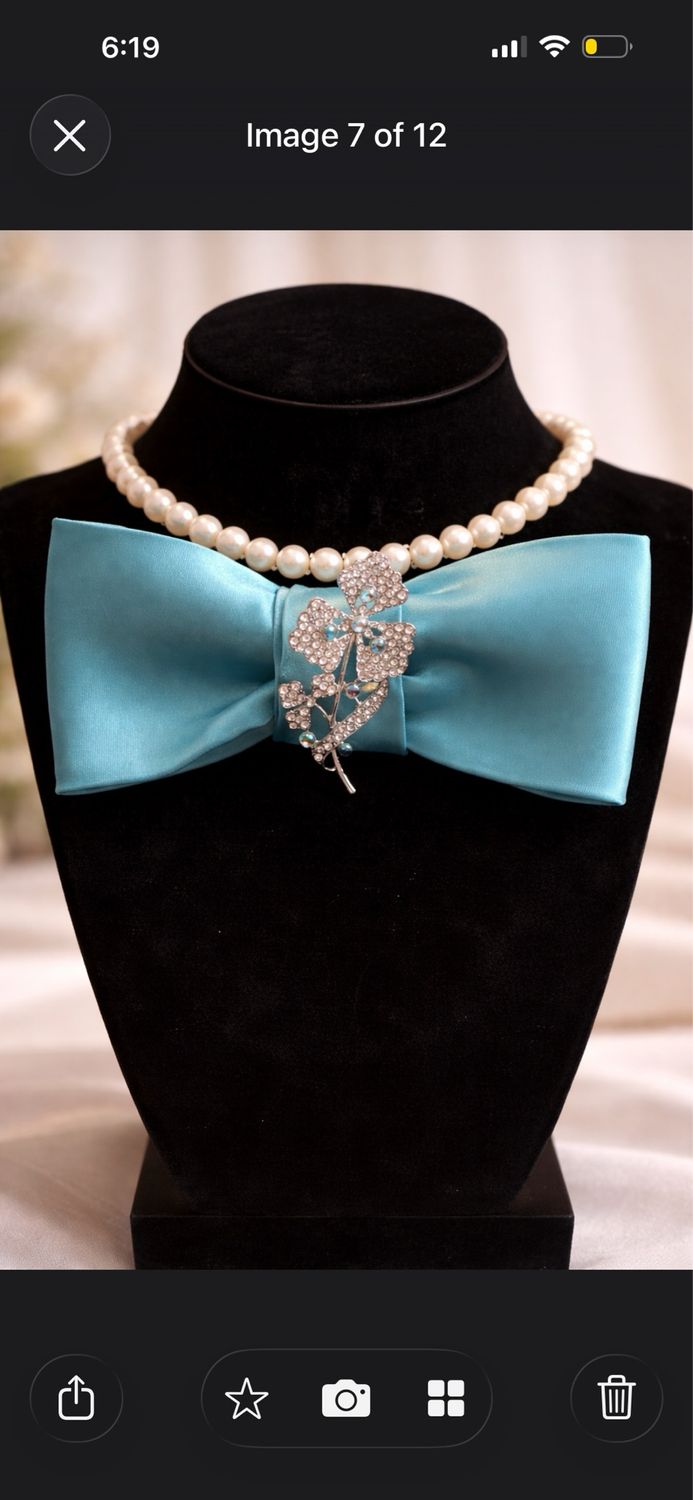 Autism Awareness Bowtie Collection