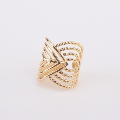 Anillos