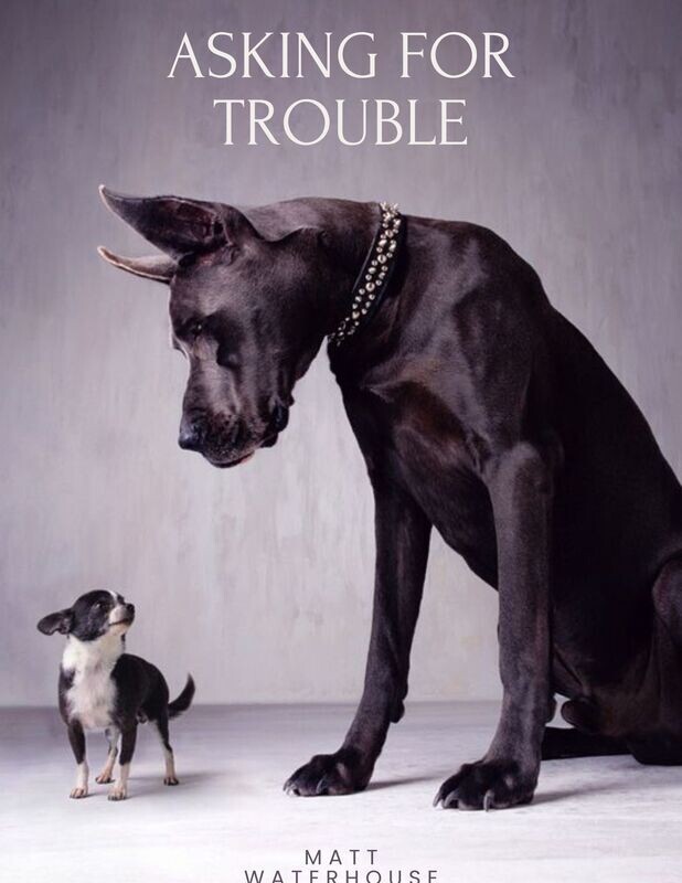 Asking for Trouble