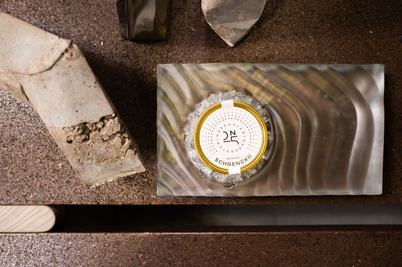 N25 Caviar x Vogel Studio: The Wave Plateau