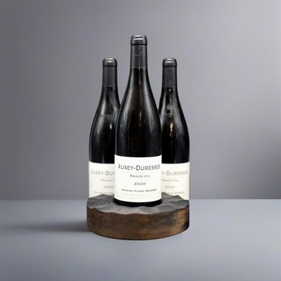 Domaine Pierre Boisson Auxey Duresses 1er Cru Rouge 2020