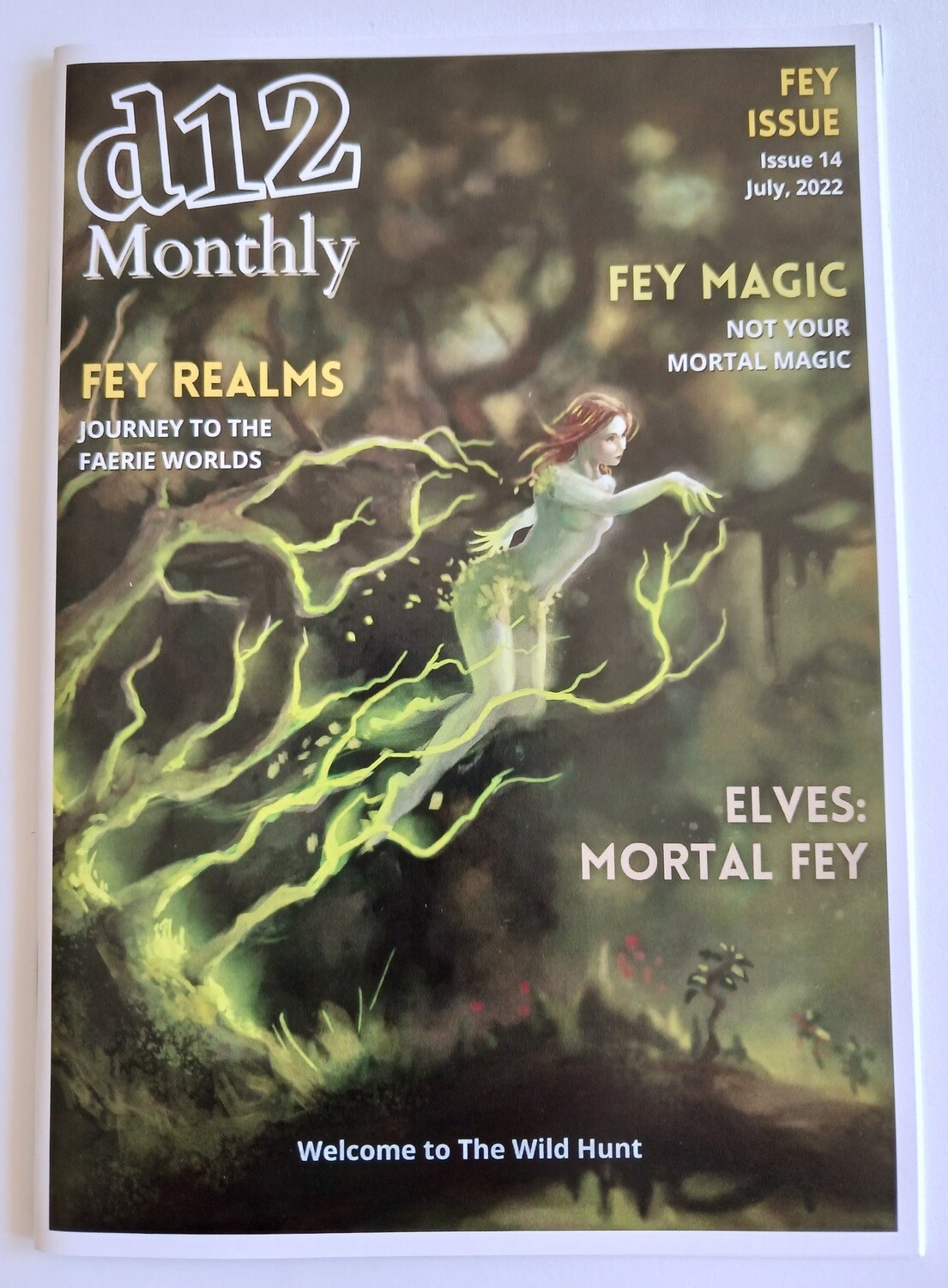 d12 Monthly Zine - Issue 14 (Fey)