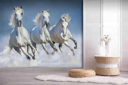 HORSES MURAL WALLPAPER 4$/ SQ FT