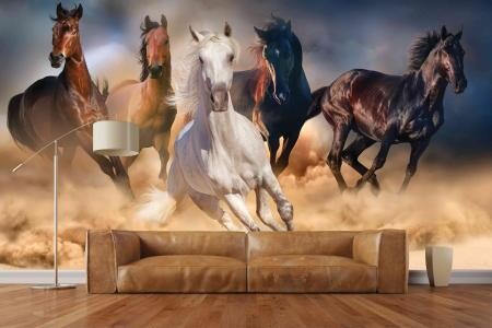 HORSES MURAL WALLPAPER 4$/ SQ FT