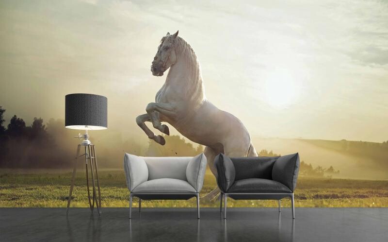 HORSE MURAL WALLPAPER 4$/ SQ FT